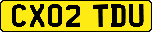 CX02TDU