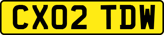 CX02TDW