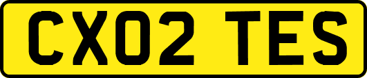 CX02TES