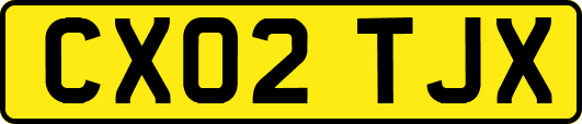CX02TJX