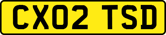 CX02TSD