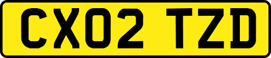 CX02TZD