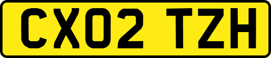 CX02TZH