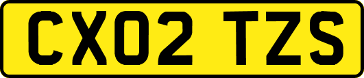 CX02TZS