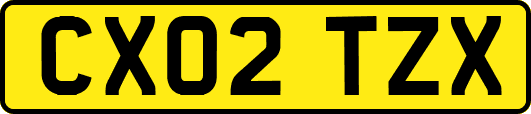 CX02TZX