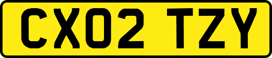 CX02TZY