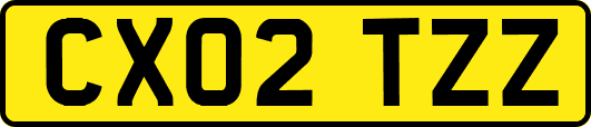 CX02TZZ