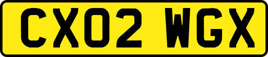 CX02WGX