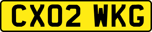 CX02WKG