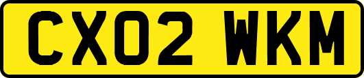 CX02WKM