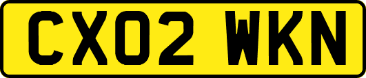 CX02WKN