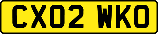CX02WKO