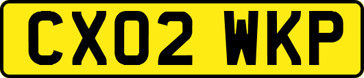 CX02WKP
