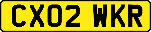 CX02WKR