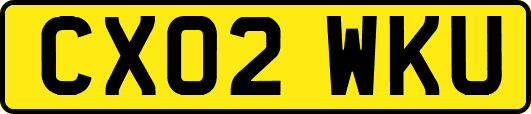 CX02WKU