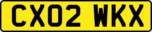 CX02WKX