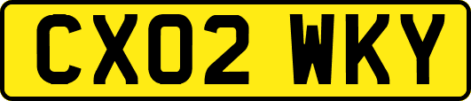 CX02WKY