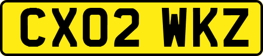 CX02WKZ