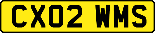 CX02WMS