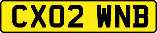 CX02WNB