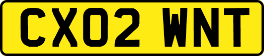 CX02WNT