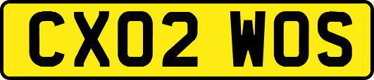 CX02WOS