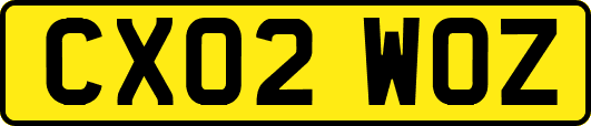 CX02WOZ