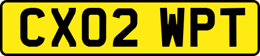 CX02WPT