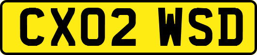 CX02WSD
