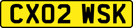 CX02WSK