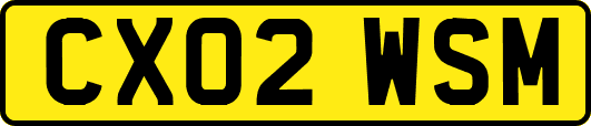 CX02WSM