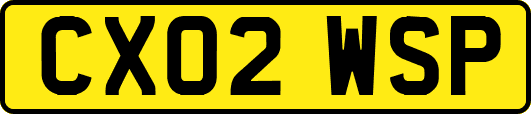 CX02WSP