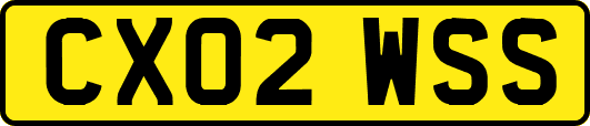 CX02WSS