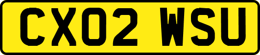 CX02WSU