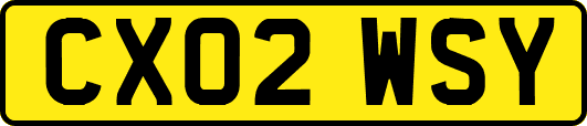 CX02WSY