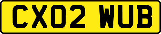 CX02WUB