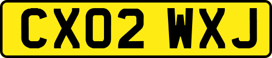 CX02WXJ