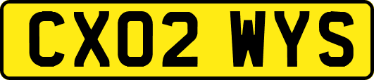 CX02WYS