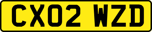 CX02WZD