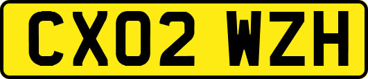 CX02WZH
