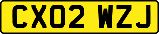CX02WZJ