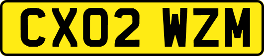 CX02WZM