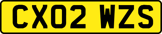 CX02WZS