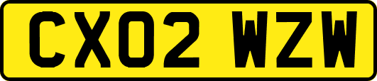CX02WZW