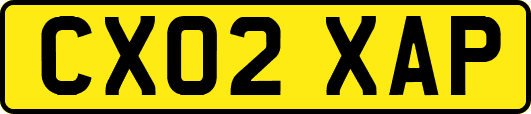 CX02XAP