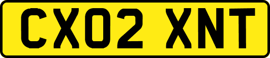 CX02XNT