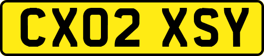CX02XSY
