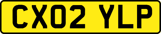 CX02YLP