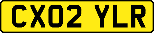 CX02YLR