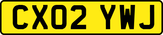 CX02YWJ